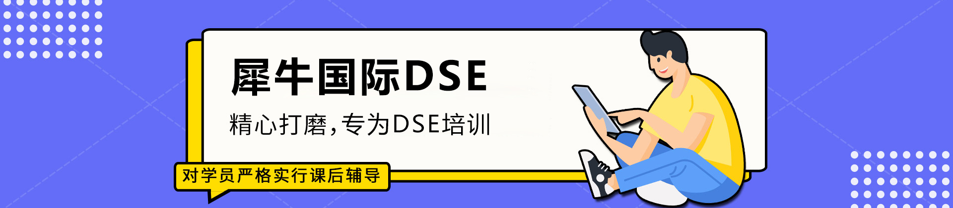 北京犀牛国际DSE课程