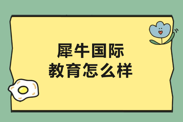 呼和浩特犀牛国际教育深度解析：课程体系与教学特色全揭秘