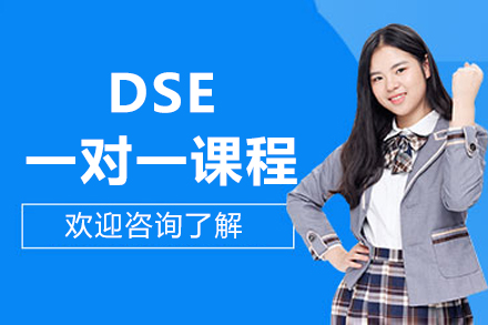 北京DSE一对一课程全解析：香港高考升学新路径