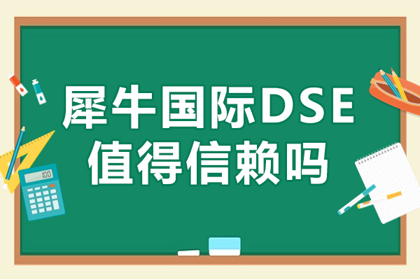 北京犀牛国际DSE教学特色深度解析