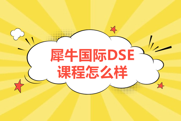 北京犀牛国际DSE课程深度解析：教学特色与师资团队揭秘