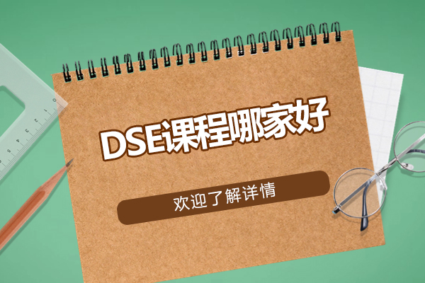 北京DSE课程优选指南：犀牛国际教育深度解析
