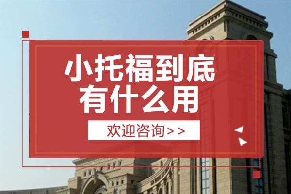 小托福备考全攻略：解锁国际升学竞争力