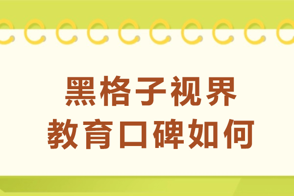成都黑格子视界教育真实口碑解析：课程质量与教学特色深度揭秘