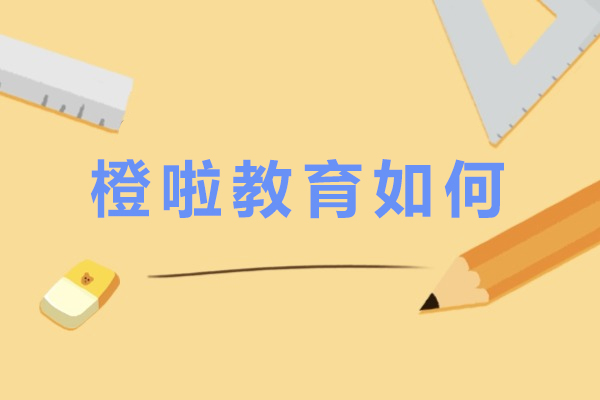 长沙橙啦教育深度解析：教学质量与课程特色全攻略