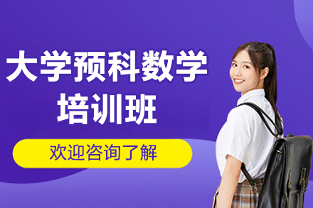 广州新东方大学数学预备课程深度解析