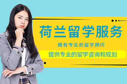 荷兰留学全流程规划指南：从申请到的完整解决方案