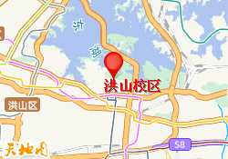 洪山校区