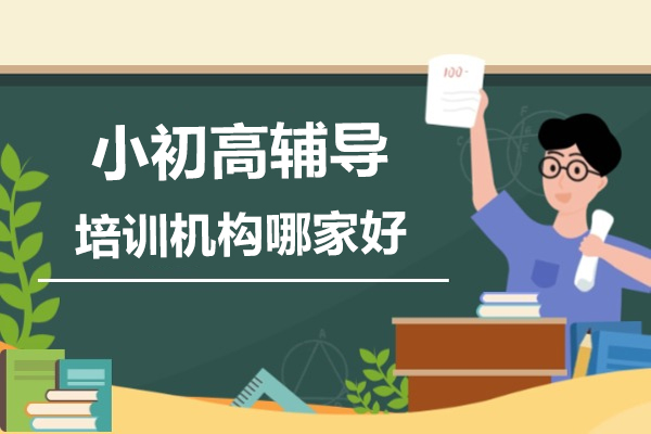 合肥锐思教育深度解析：小初高辅导机构选择指南