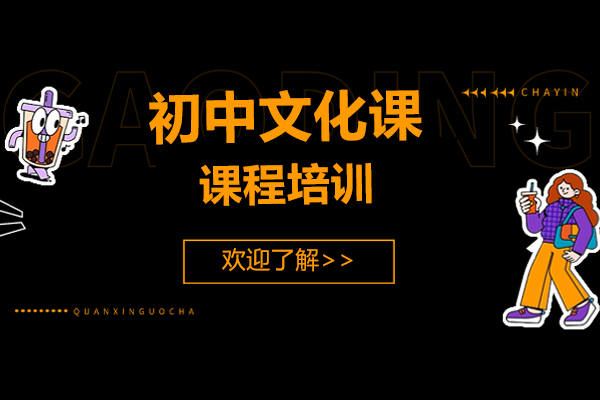 初中文化课课程培训