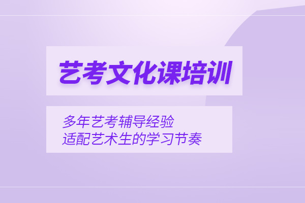 武汉艺考文化课培训班