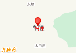 网课
