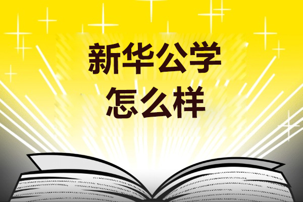 合肥新华公学深度解读：国际化教育优势与教学实践全景