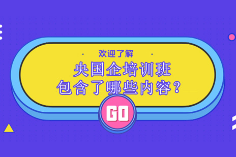 央国企求职辅导包含哪些内容？