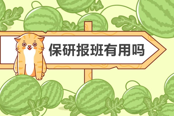 保研辅导班实用价值深度剖析