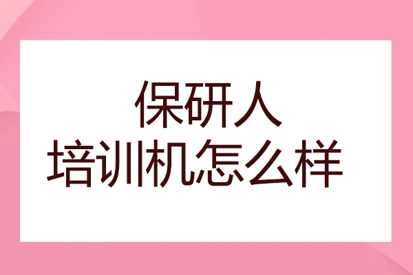 保研人培训机构全方位评析报告