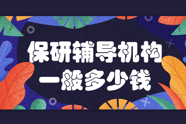 上海保研辅导机构服务价格深度解析 - 专业费用指南