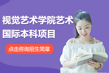 上海视觉艺术学院艺术国际本科项目全面解析