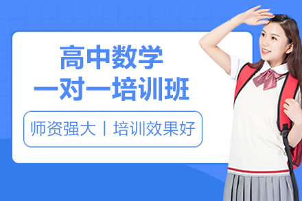 高中生数学一对一精讲课程