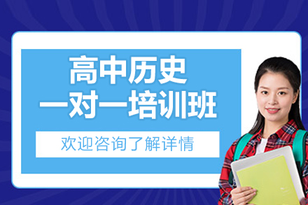 高中历史一对一辅导的个性化学习路径揭秘