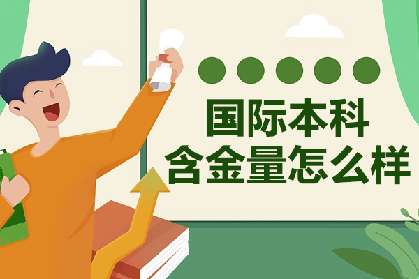 国际本科项目如何塑造全球竞争力？解析价值认证与职业前景