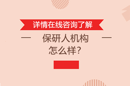 保研人机构综合评析：核心优势与服务亮点