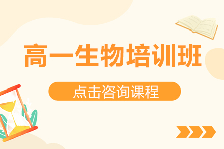 北京高一生物特训课程：个性化教学方案深度解析
