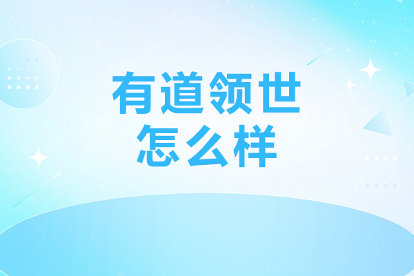 北京有道领世怎么样-北京有道领世收费高吗