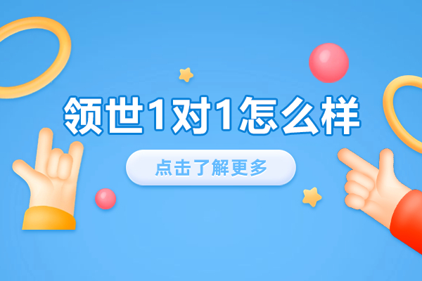 领世1对1教学优势的深度剖析