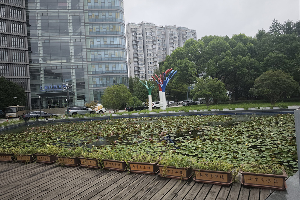 学校一角环境相册
