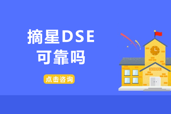 北京摘星DSE教育全解析：课程特色与适合人群深度指南