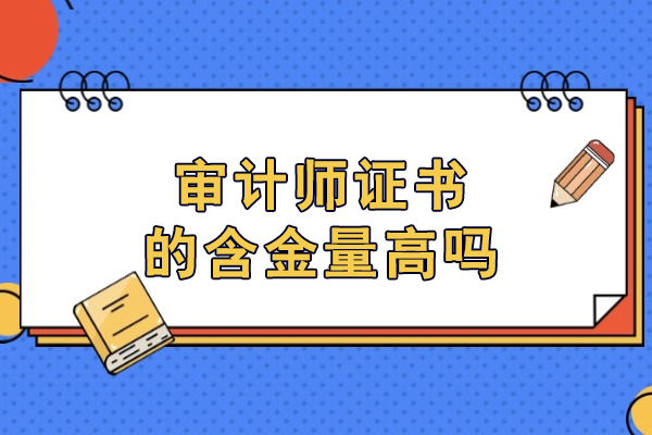 审计师证书职业价值深度剖析：高含金量背后的驱动力
