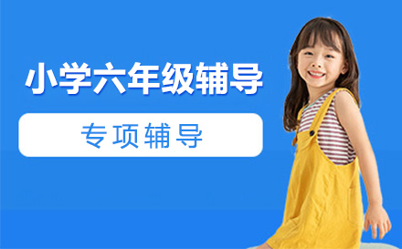 小学六年级辅导