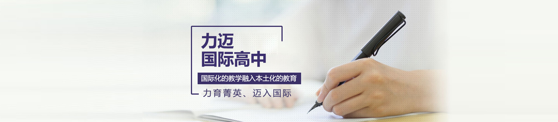 北京力迈DSE