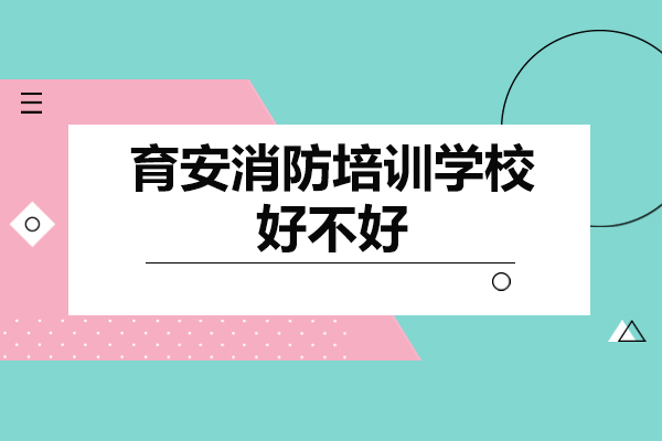 深圳育安消防培训学校深度解析：课程与教学实力全测评