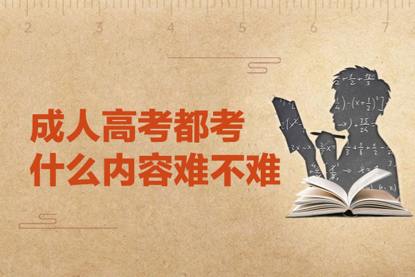 郑州成人高考都考什么内容难不难