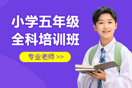 五年级主科特训课程助力全科学习高效提升