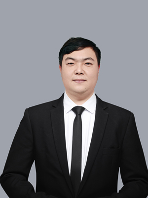 王鹏举