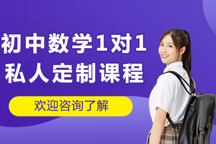 初中数学1对1私人定制课程