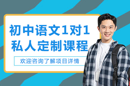 初中语文1对1私人定制课程