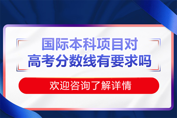 上海国际本科入学指南：高考分数线角色解析