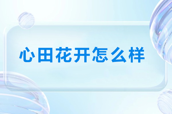 南京心田花开怎么样