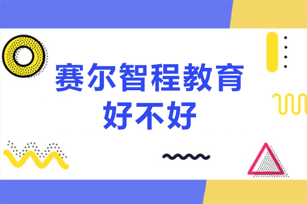 北京赛尔智程教育核心优势深度解析