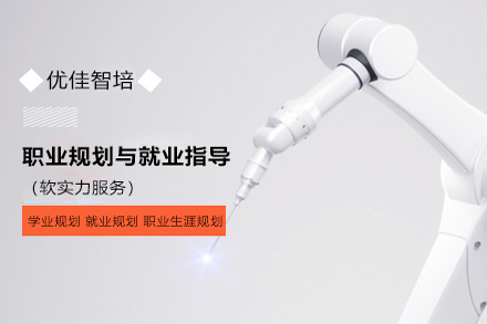 职场生涯加速器：系统化职业规划与就职培训指南