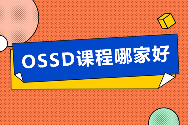 北京新航道OSSD留学规划服务体系深度剖析