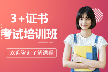 高效制胜3+证书考试：深圳昊鹏教育专项培训班全解析