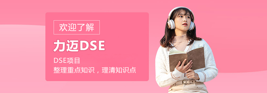 北京力迈DSE机构标志