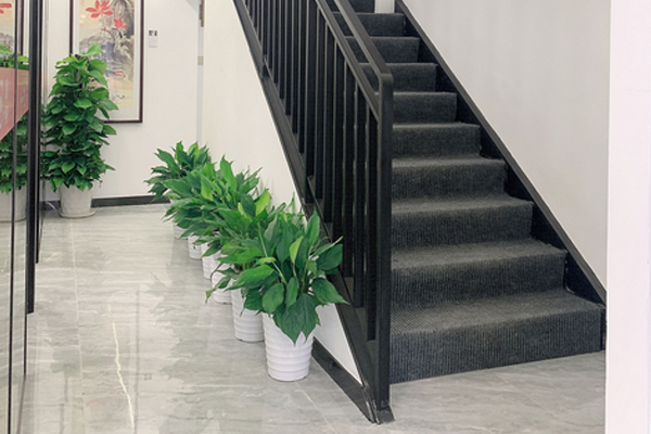 校区环境展示