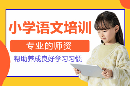 北京小学语文培训班