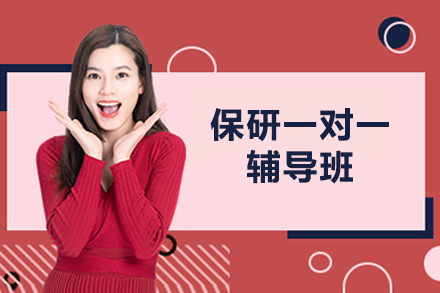 北京保研一对一辅导班